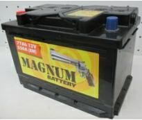 6ст - 77 (Magnum)  - пп